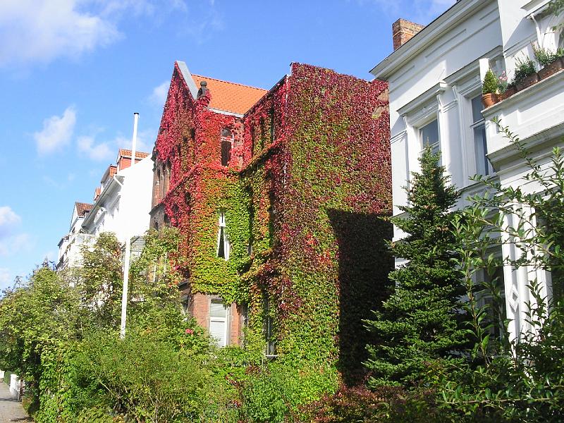 Lindener Herbst Ansichten.JPG